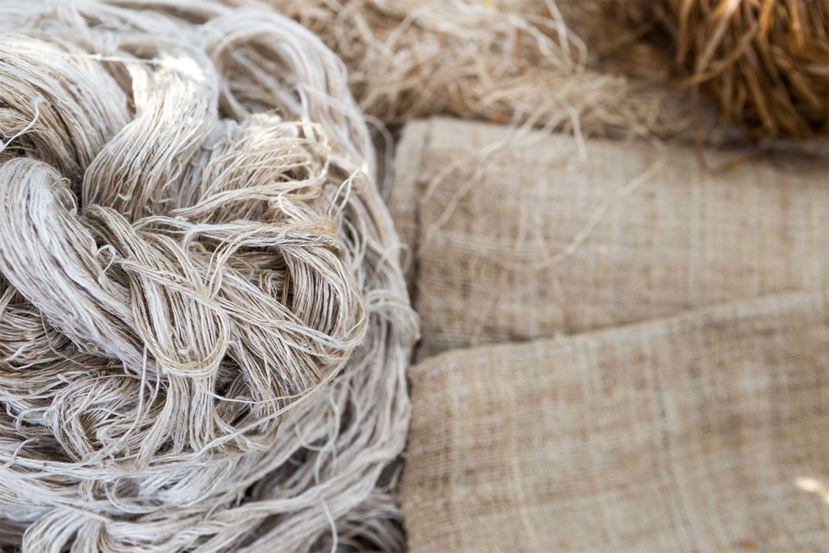Hemp Fiber for Clothing and Rope